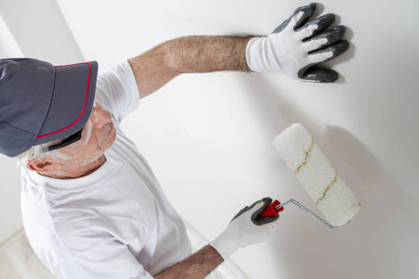 Best Post-Construction Mold Inspection  in Charleston, IL