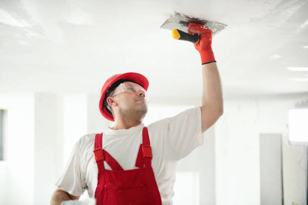 Best Asbestos and Lead Testing During Mold Inspection  in Charleston, IL