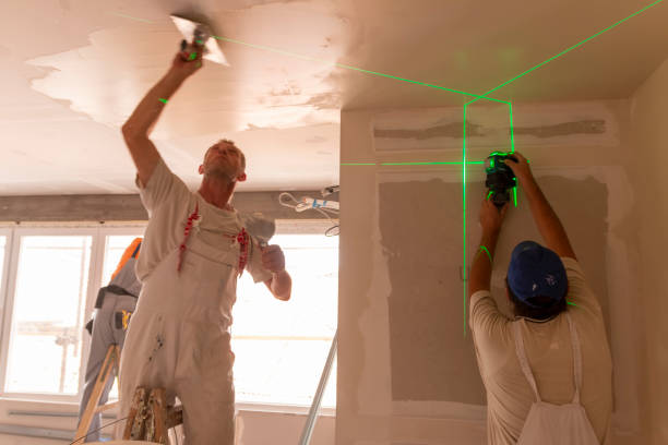 Best Mold Remediation for Healthcare Facilities  in Charleston, IL