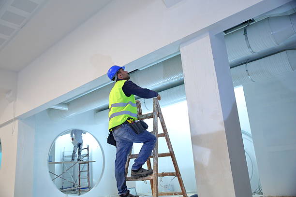 Best Airborne Mold Testing  in Charleston, IL