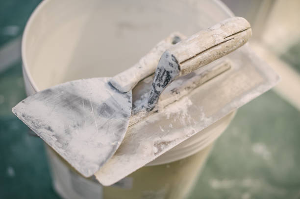 Forensic Mold Investigation in Charleston, IL