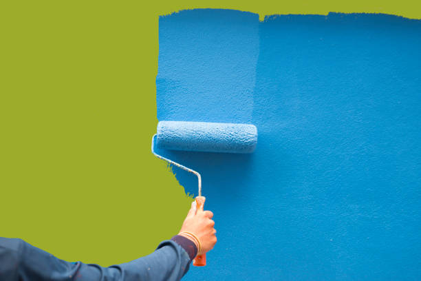 Trusted Charleston, IL Mold Removal Experts