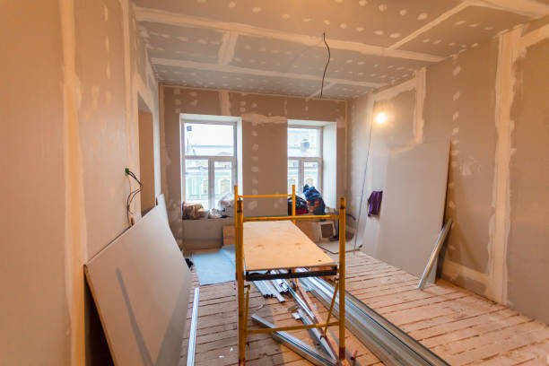Mold Odor Removal Services in Charleston, IL