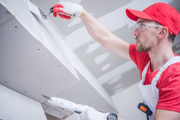 Best Attic Mold Removal  in Charleston, IL
